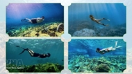 Lam Dong diversifies coastal tourism with adventure, island-linked experiences